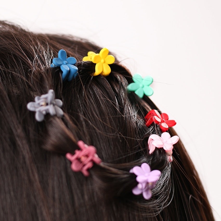 Small Flowers Plastic Hair Clip
